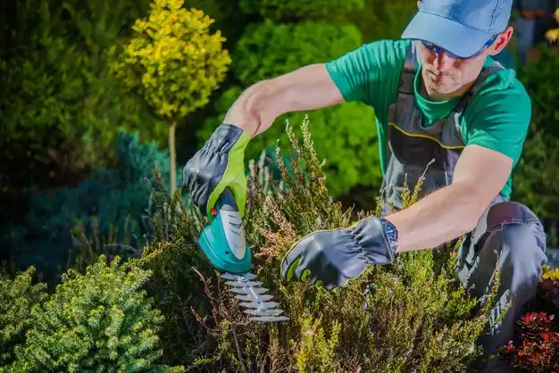 landscaping services Gulfport